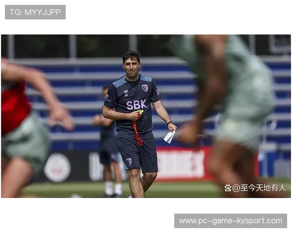 伯恩茅斯球队公布引援消息引关注，伯恩茅斯转会消息