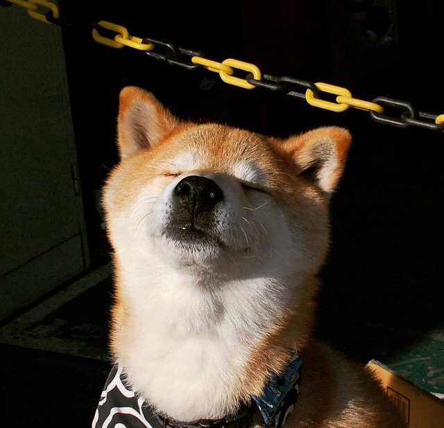 开云官方-中超联赛国足惨败 技术复盘指出不足,国足打中超方案详情