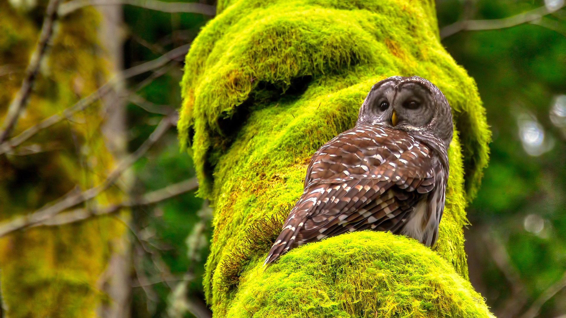 开云体育官方网站-博卡防线坚韧不拔,多次关键封堵,博卡是哪个公司的