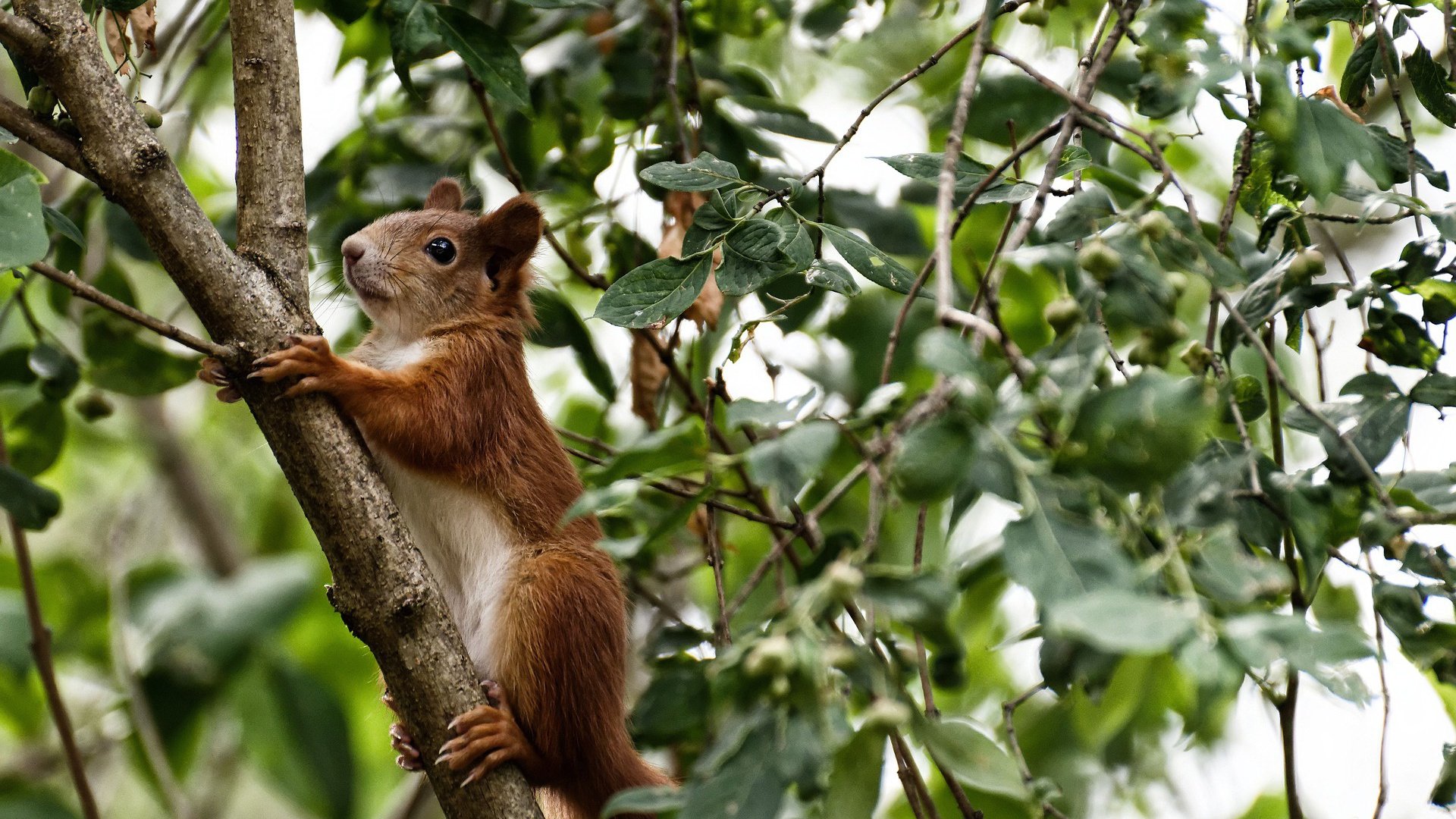 开云体育平台-运动员营养配比科学调整优化体能储备,运动员 营养