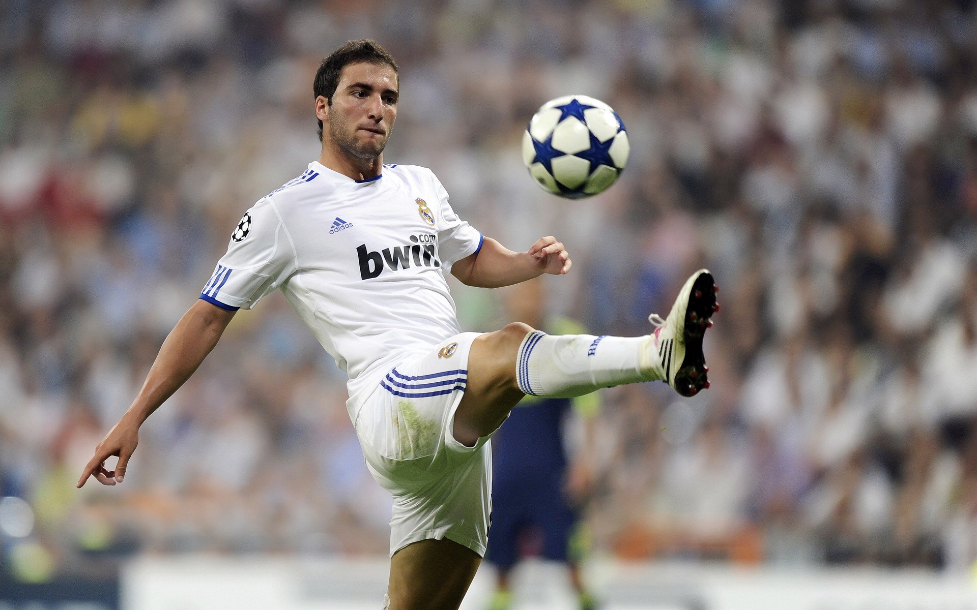 外教风格难以与本土文化融合，外教理念